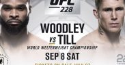UFC 228