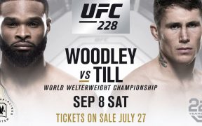 UFC 228